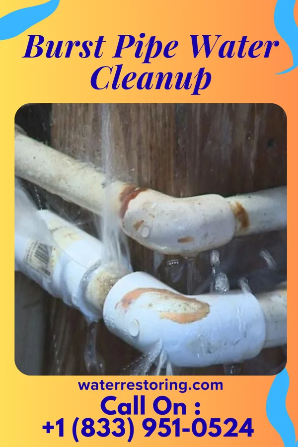 Burst Pipe Water Cleanup in Bay Village, OH