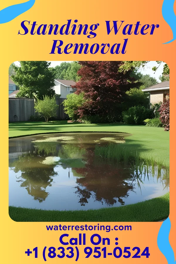 Standing Water Removal in Bay Village, OH